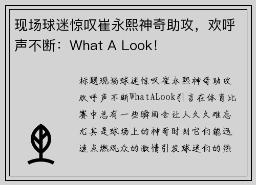 现场球迷惊叹崔永熙神奇助攻，欢呼声不断：What A Look！